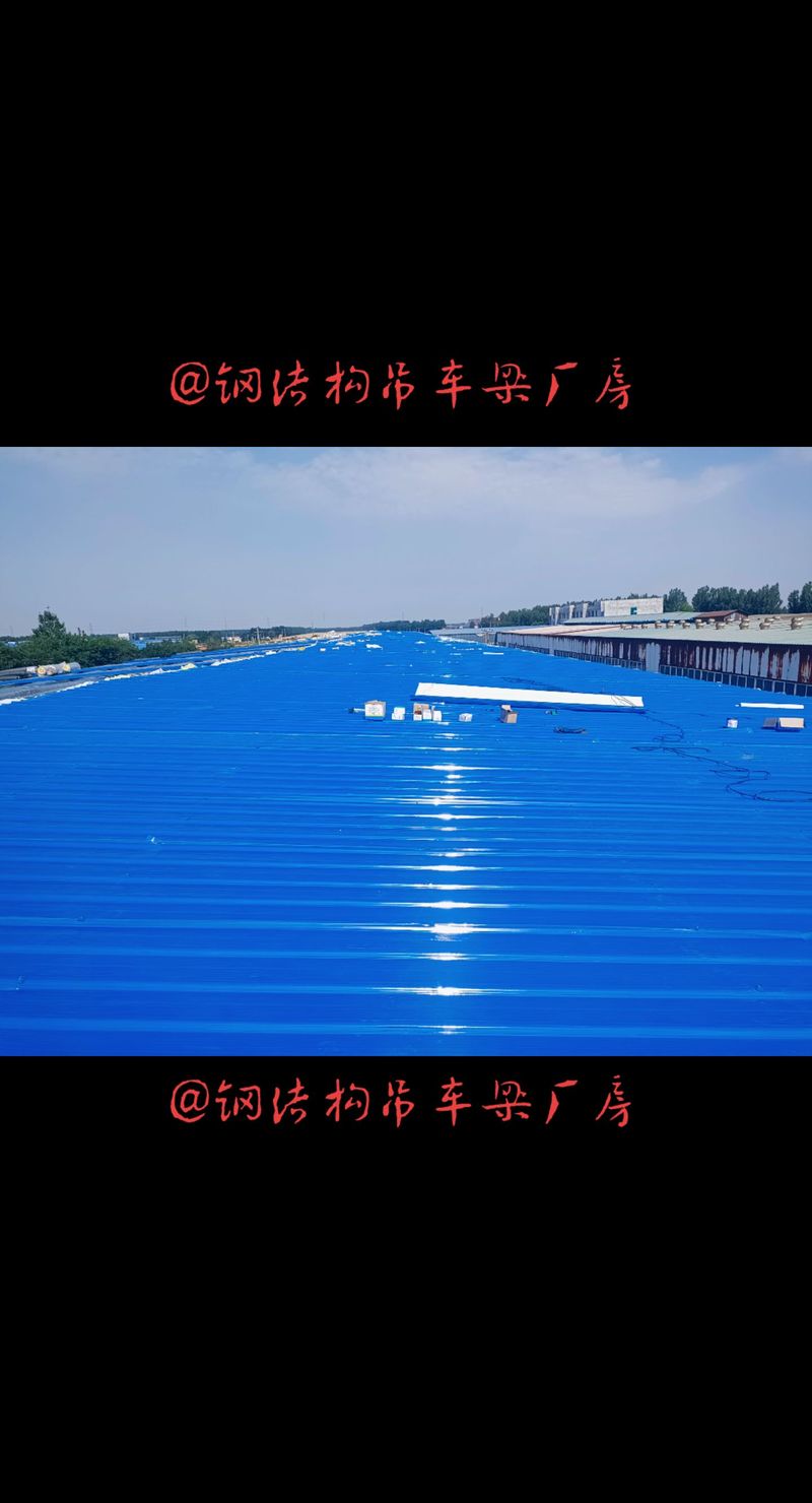 鋼結(jié)構(gòu)廠家a衡水鋼結(jié)構(gòu)施工安裝廠家磊